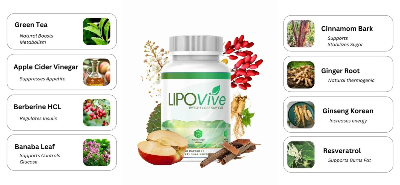 LipoVive